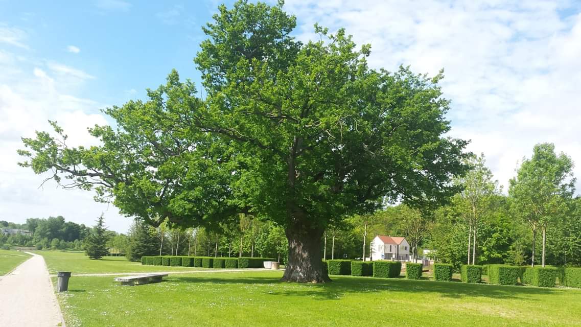 Comité des Fêtes Chessy 77